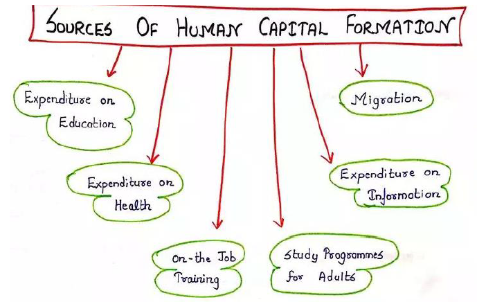 Class 11 Economics Human Capital Formation in India