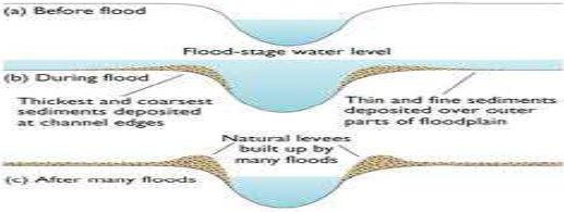 ""Class-11-Geography-Landforms-And-Their-Evolution-8