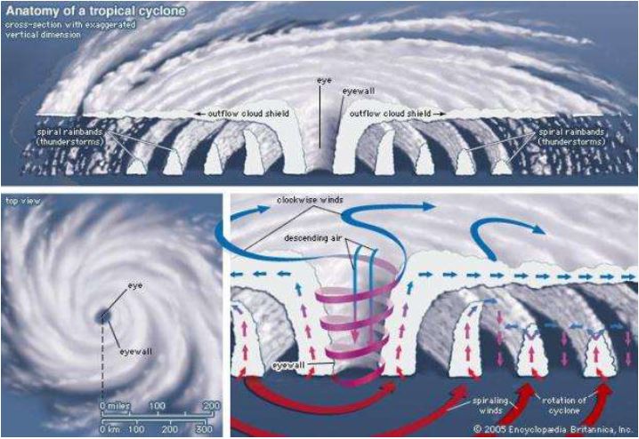 ""Class-11-Geography-NaturalcHazards-And-Disasters-5