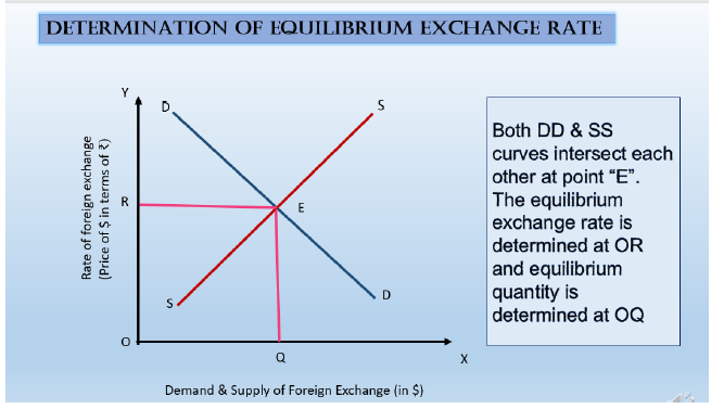 Class 12 Economics Balance of Payment and Foreign Exchange Rate