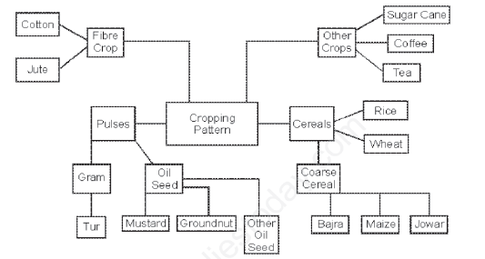 Class 12 Geography Land Resources and Agriculture