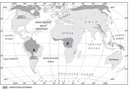 Class-12-Geography-Primary-Activities