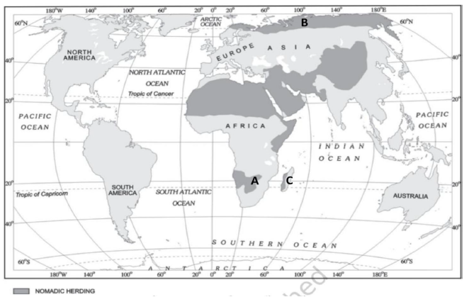 Class-12-Geography-Primary-Activities