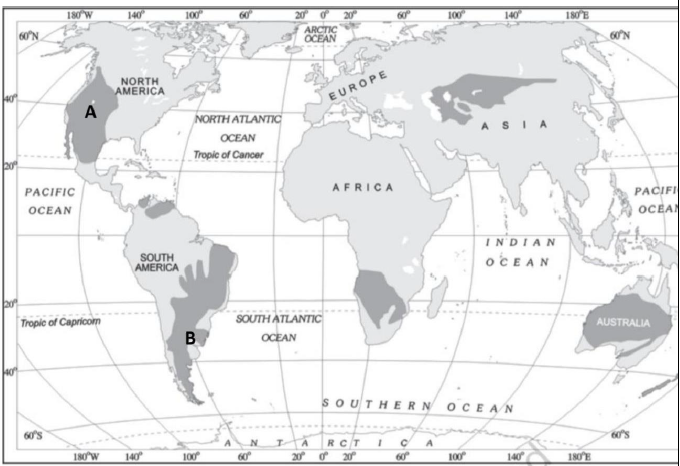 Class-12-Geography-Primary-Activities