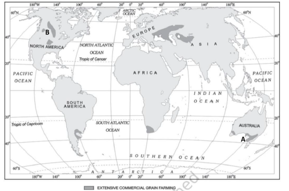 Class-12-Geography-Primary-Activities