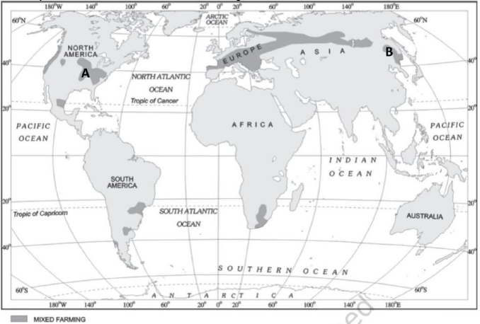 Class-12-Geography-Primary-Activities