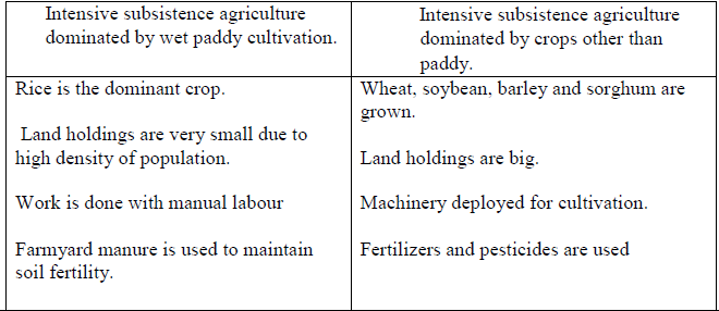 Class-12-Geography-Primary-Activities