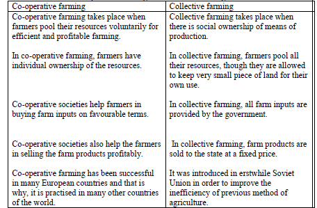 Class-12-Geography-Primary-Activities