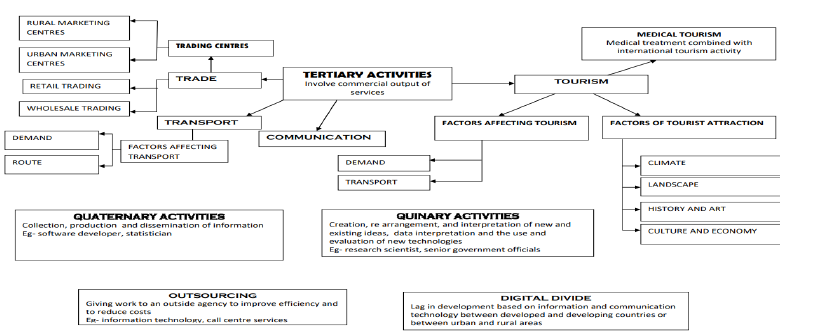 Class 12 Geography Tertiary and Quaternary Activities