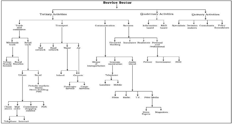 Class 12 Geography Tertiary and Quaternary Activities