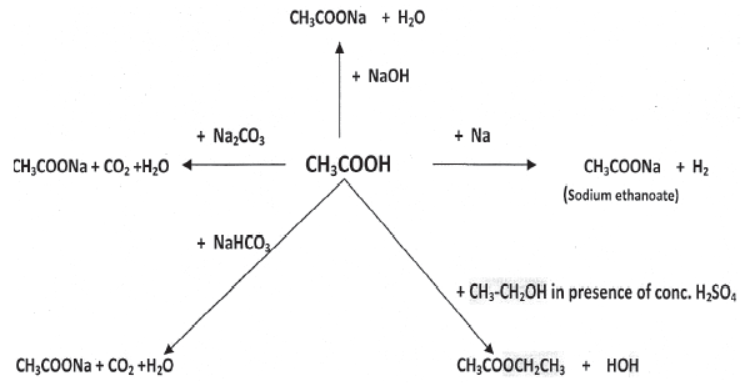 cbse-class-10-science-carbon-and-its-compounds-notes-set-a