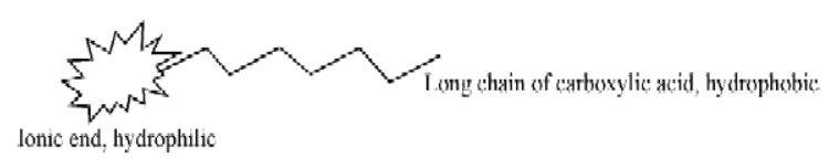 cbse-class-10-science-carbon-and-its-compounds-notes-set-a