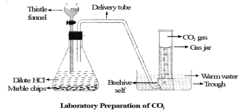  cbse-class-10-science-carbon-notes