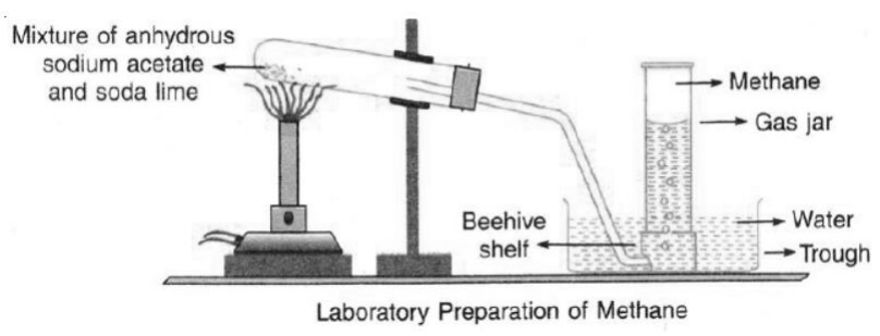  cbse-class-10-science-carbon-notes