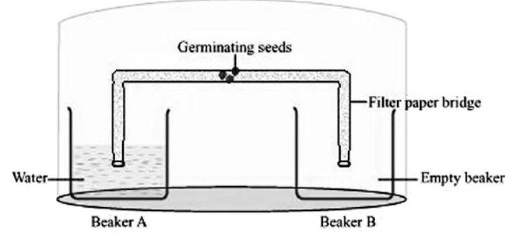 cbse-class-10-science-control-and-coordination-notes-set-e