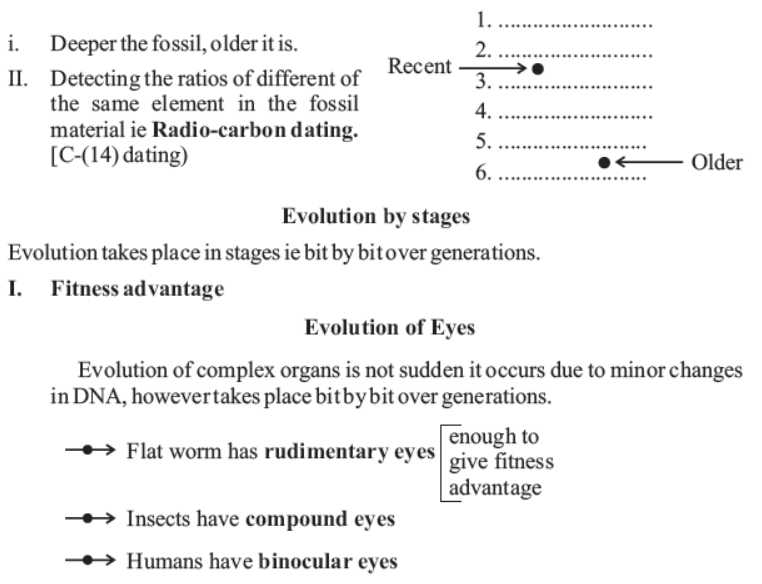 cbse-class-10-science-heredity -and-evolution-notes-set-c