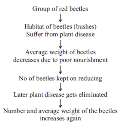 cbse-class-10-science-heredity -and-evolution-notes-set-c