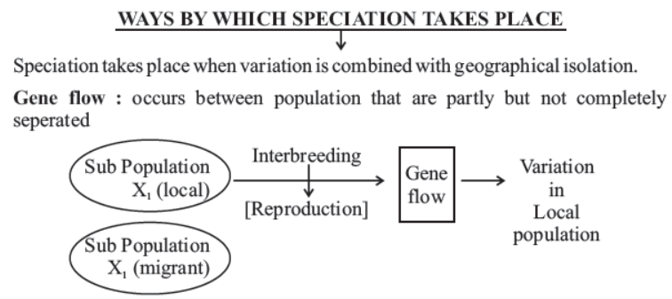 cbse-class-10-science-heredity -and-evolution-notes-set-c