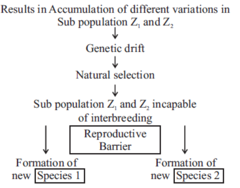 cbse-class-10-science-heredity -and-evolution-notes-set-c