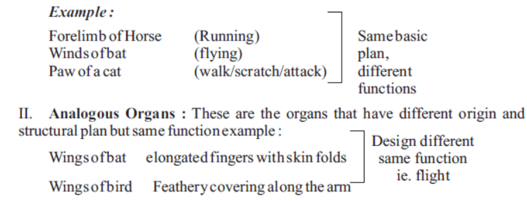 cbse-class-10-science-heredity -and-evolution-notes-set-c