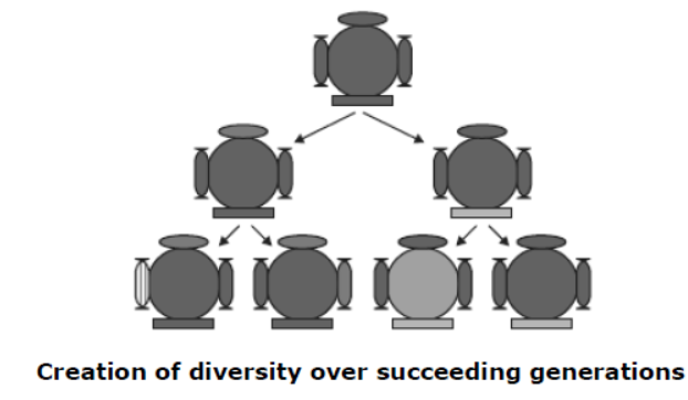 cbse-class-10-science-heredity-and -evolution-notes-set-a