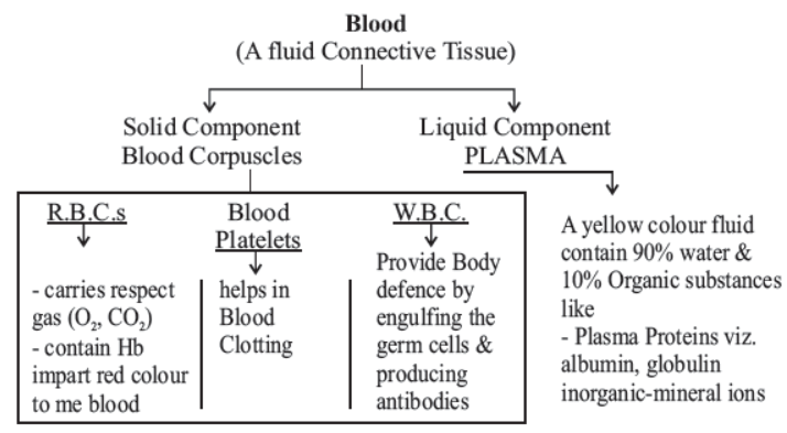 cbse-class-10-science-life-processes-notes-set-d