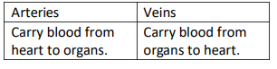 cbse-class-10-science-transportation-in-plants-and-animals-notes