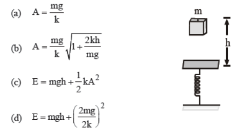 cbse-class-11-oscillations-worksheet-b