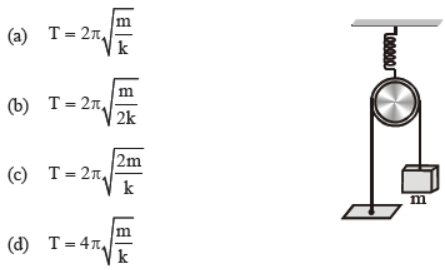 cbse-class-11-oscillations-worksheet-c