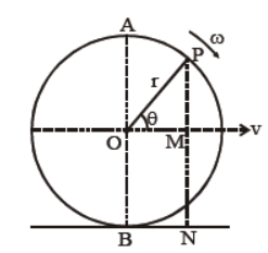 cbse-class-11-physics-kinematics-worksheet-set-b