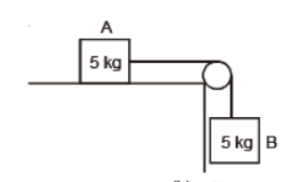 cbse-class-11-physics-laws-of-motion-worksheet-set-d