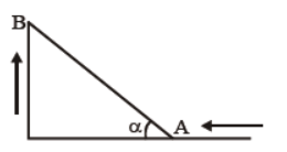 cbse-class-11-physics-motion-in-a-straight-line-worksheet-set-a