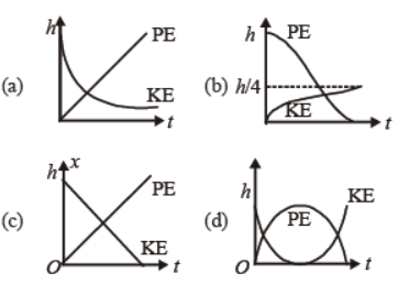 cbse-class-11-physics-work-energy-and-power-worksheet-set-g