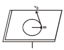 cbse-class-11-system-of-particles-and-rotational-motion-worksheet-a