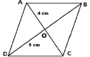 cbse-class-9-maths-areas-of-parallelogram-and-triangle-mcqs-Set-c