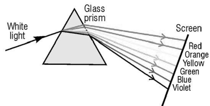 cbse-class-10-physics-the-human-eye-and-the-colorful-world-worksheet-set-f-solved