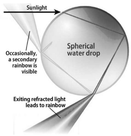 cbse-class-10-physics-the-human-eye-and-the-colorful-world-worksheet-set-f-solved