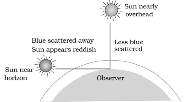 cbse-class-10-physics-the-human-eye-and-the-colorful-world-worksheet-set-f-solved