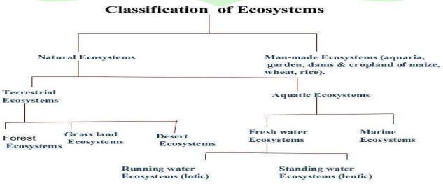 ""CBSE-Class-10-Biology-Our-Environment-Management-Of-Natural-Resources-1