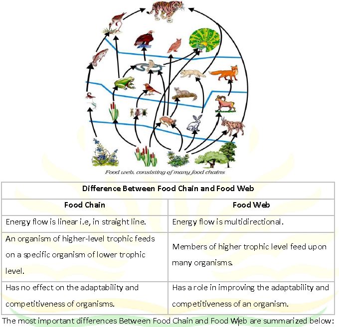 ""CBSE-Class-10-Biology-Our-Environment-Management-Of-Natural-Resources-4