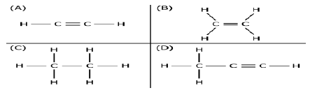 CBSE Class 10 Science Carbon and its Compounds 