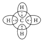 CBSE Class 10 Science Carbon and its Compounds 