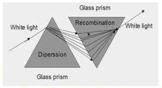 CBSE Class 10 Physics The Human Eye and The Colorful World
