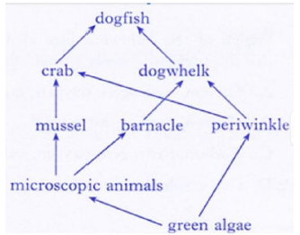 CBSE Class 10 Science Biology Our Environment