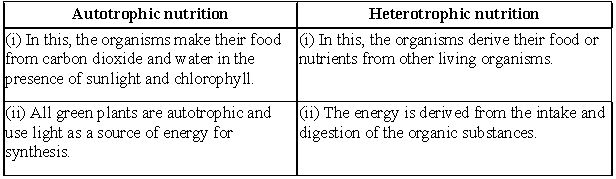 ""CBSE-Class-10-Science-Life-Processes-7