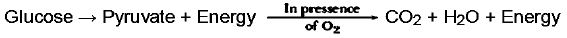 ""CBSE-Class-10-Science-Life-Processes