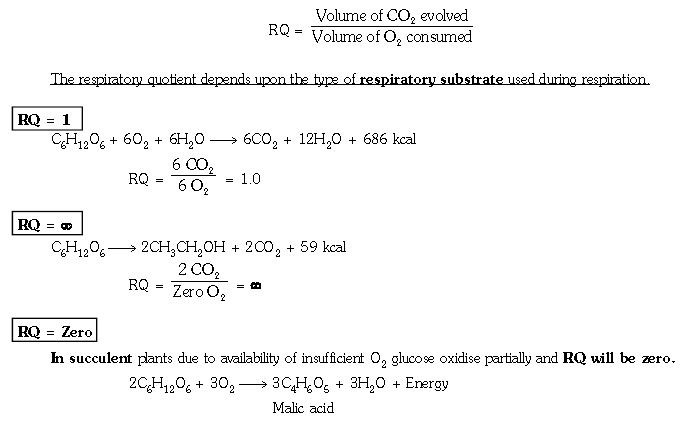 ""CBSE-Class-11-Biology-Respiration-In-Plants-11