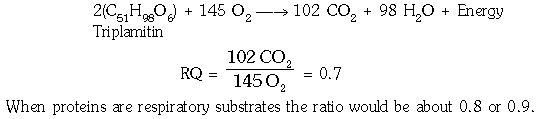 ""CBSE-Class-11-Biology-Respiration-In-Plants-12