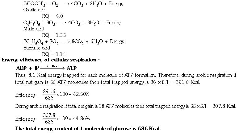 ""CBSE-Class-11-Biology-Respiration-In-Plants-13