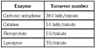 ""CBSE-Class-11-Biology-Respiration-In-Plants-14